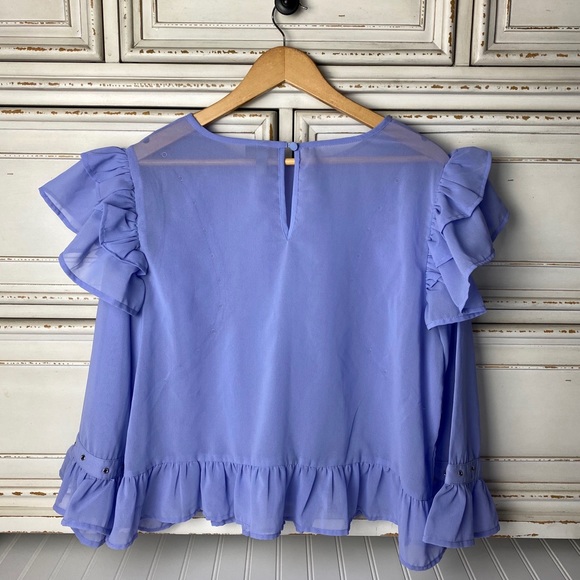 ASOS Sheer Ruffled Blouse - Picture 5 of 5